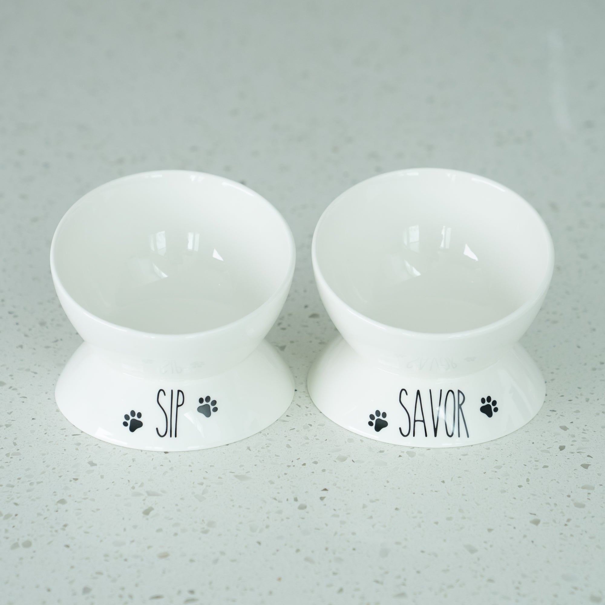 Porcelain Elevated Food and Water Bowl Set