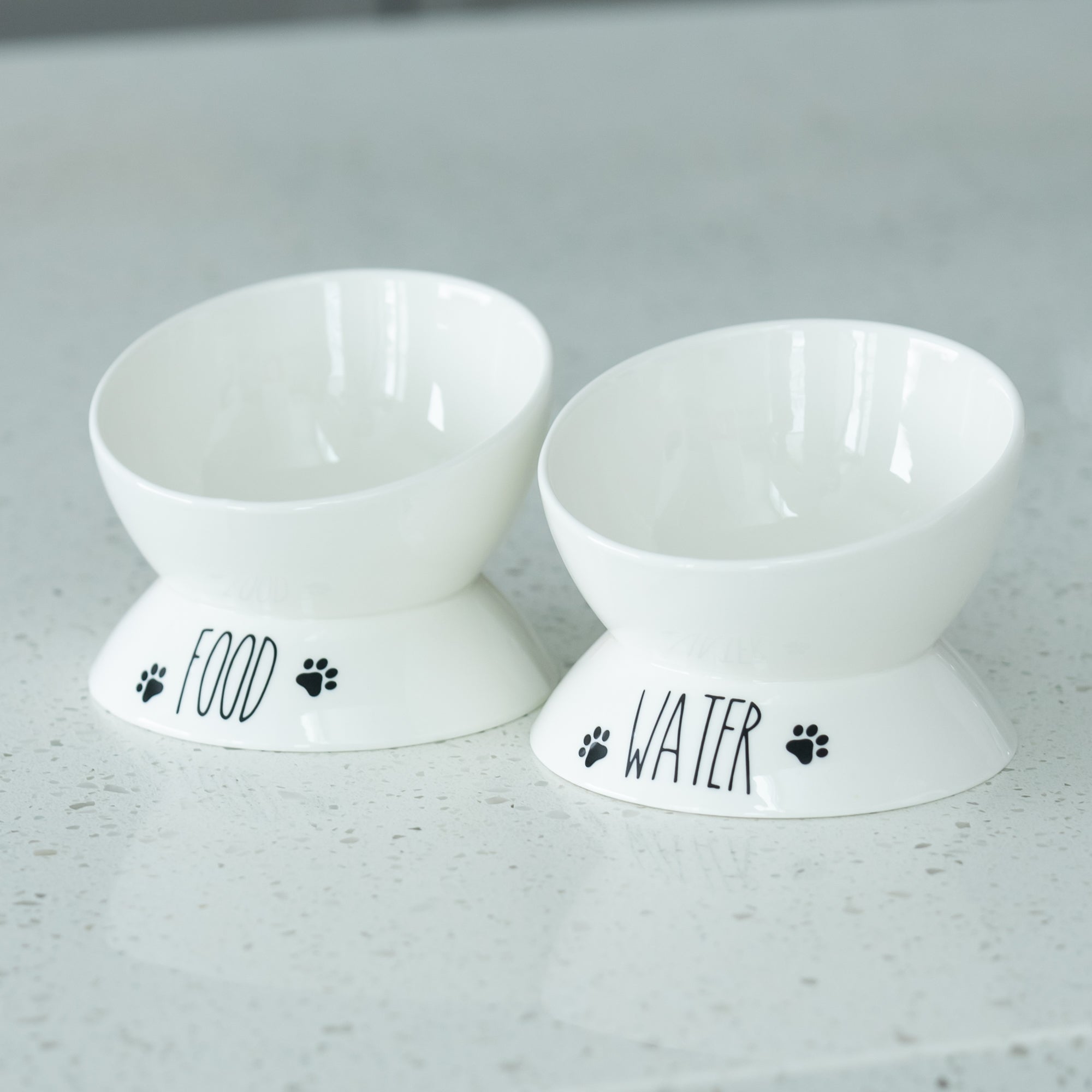 Porcelain Elevated Food and Water Bowl Set