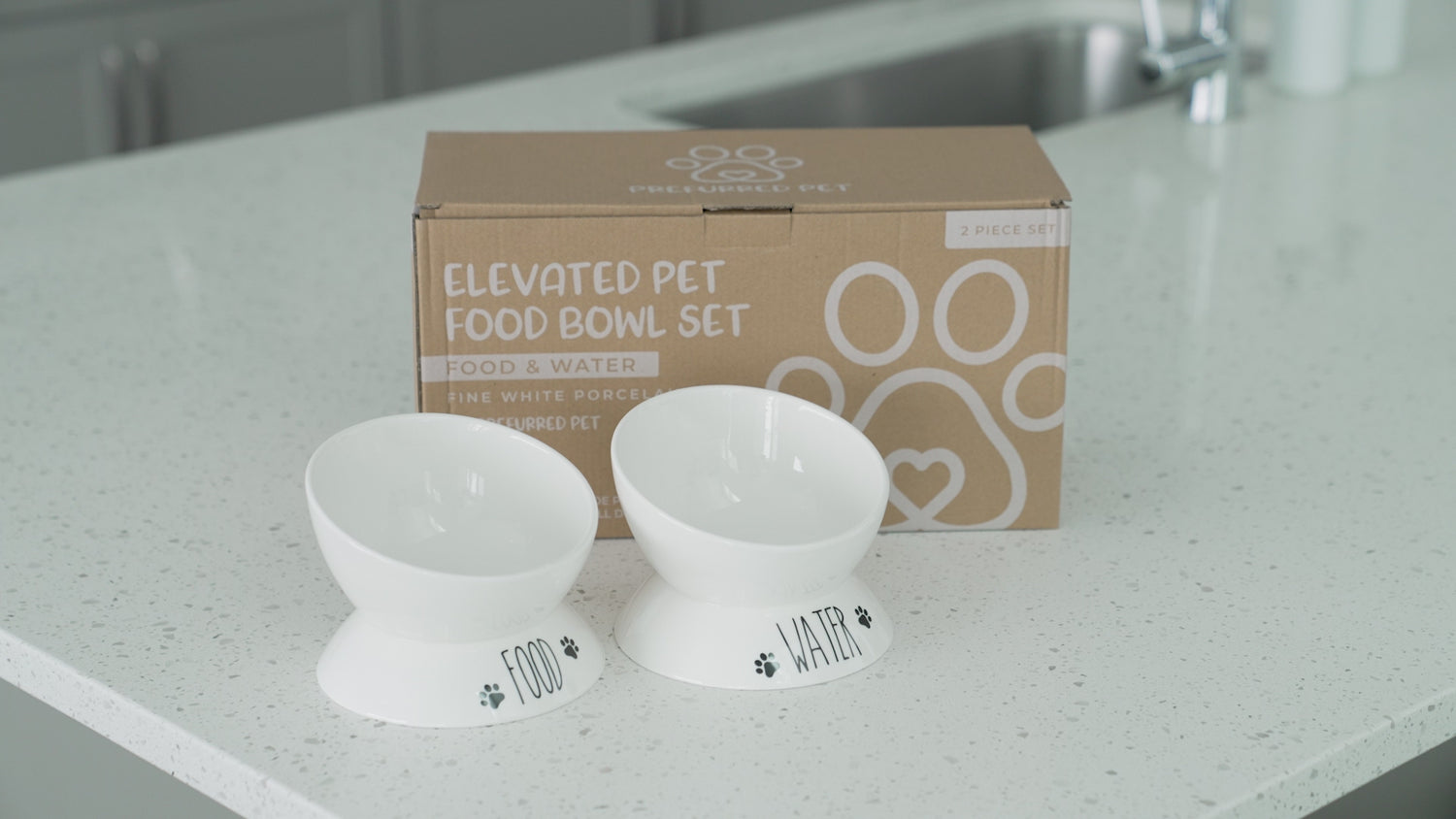 Porcelain Elevated Food and Water Bowl Set