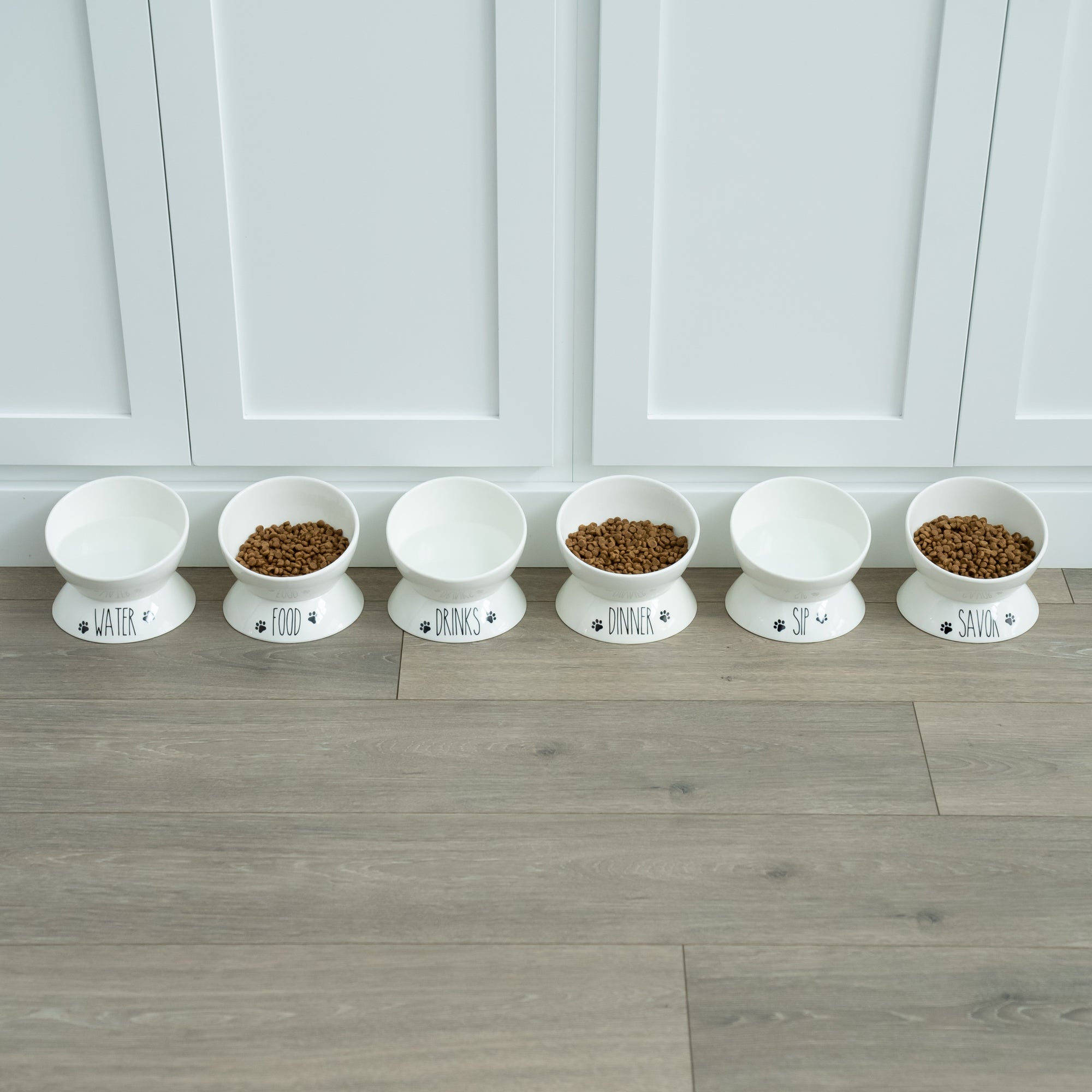 Porcelain Elevated Food and Water Bowl Set