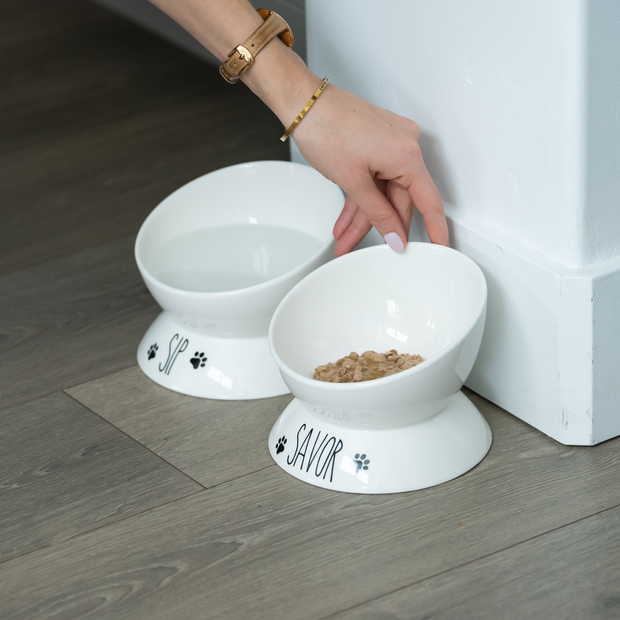 Porcelain Elevated Food and Water Bowl Set