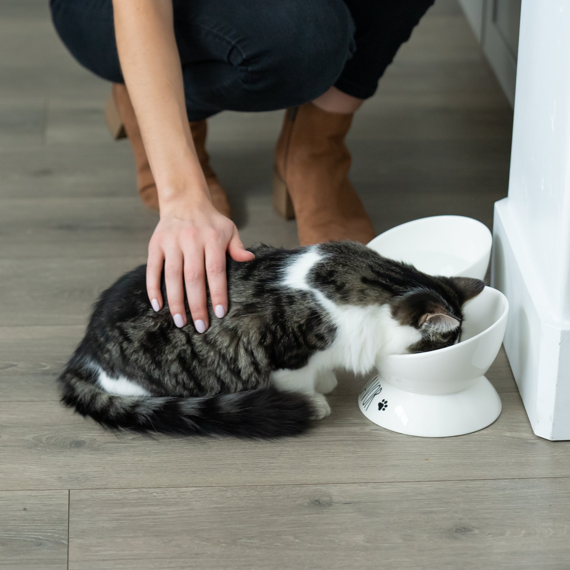 Porcelain Elevated Food and Water Bowl Set