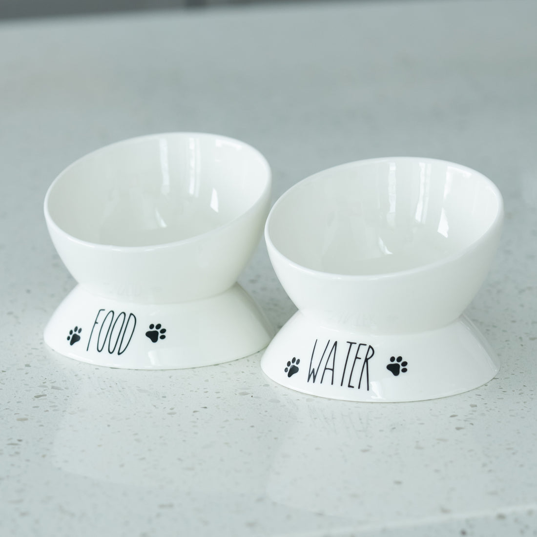 Porcelain Elevated Food and Water Bowl Set