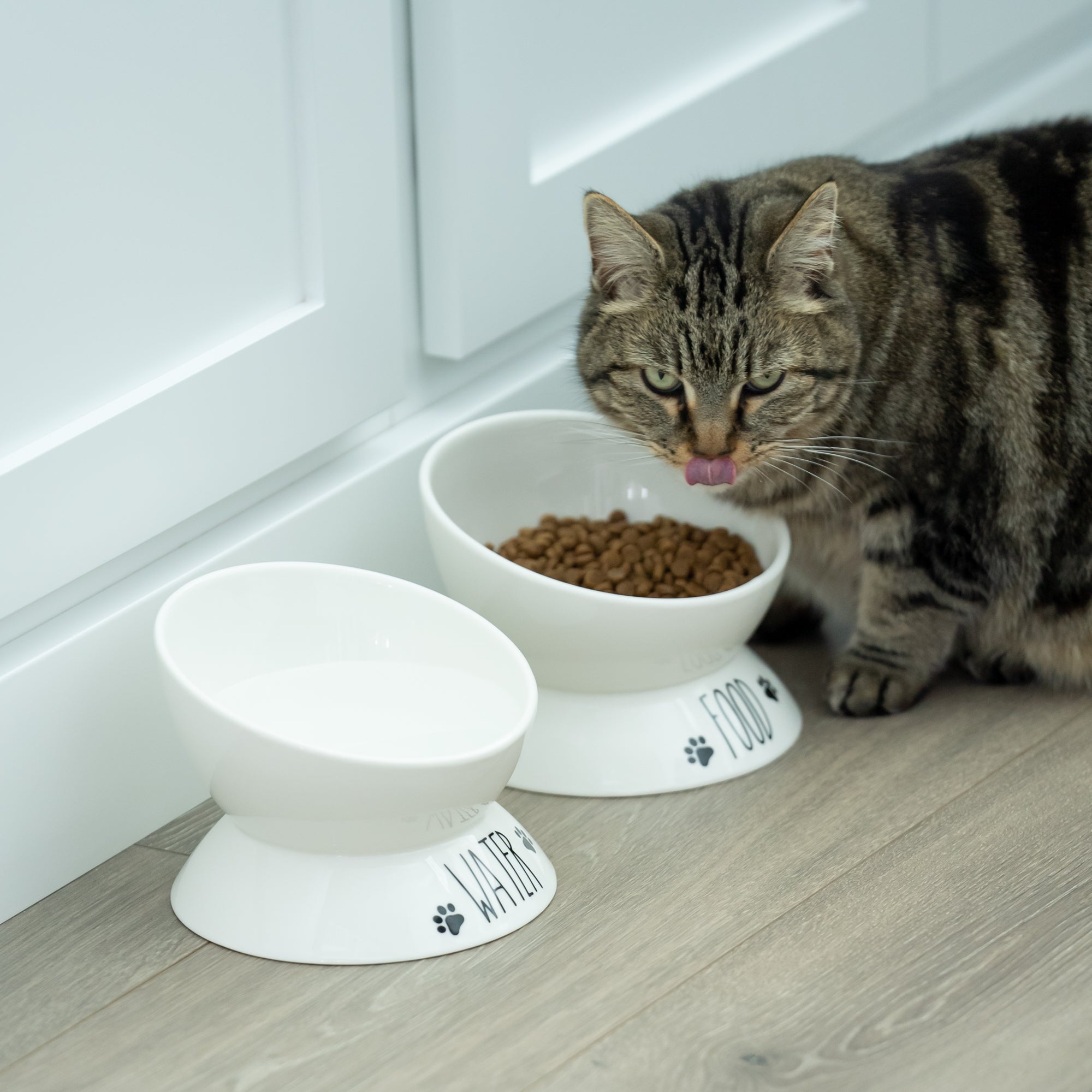 Porcelain Elevated Food and Water Bowl Set